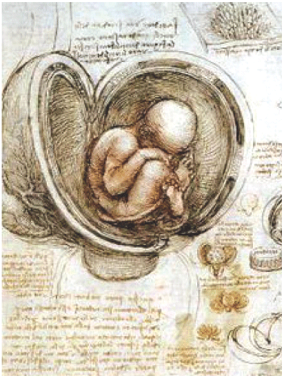  Desarrollo de la Embriología como ciencia