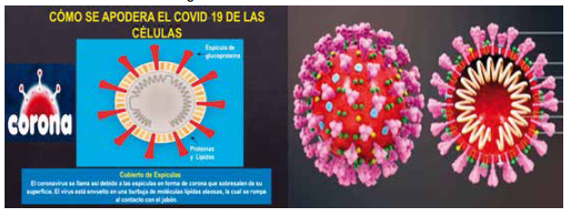 Lavado nasal como tratamiento de COVID-19 y otras enfermedades