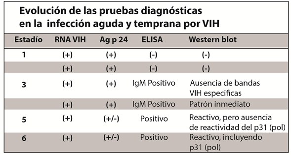 The table outlines the evolution of diagnostic tests for acute and early HIV infection, detailing various stages, test outcomes for RNA HIV, antigen p24, ELISA, and Western blot.