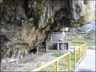 Descripción: enr_hvelica_2008 284