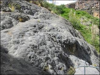 Descripción: enr_hvelica_2008 318