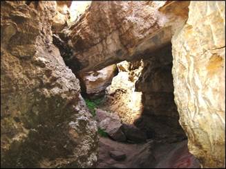 Descripción: enr_hvelica_2008 304