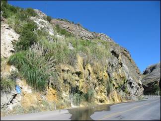 Descripción: enr_hvelica_2008 135