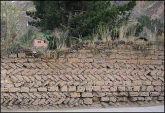 Descripción: z enr_hvelica_2008 203