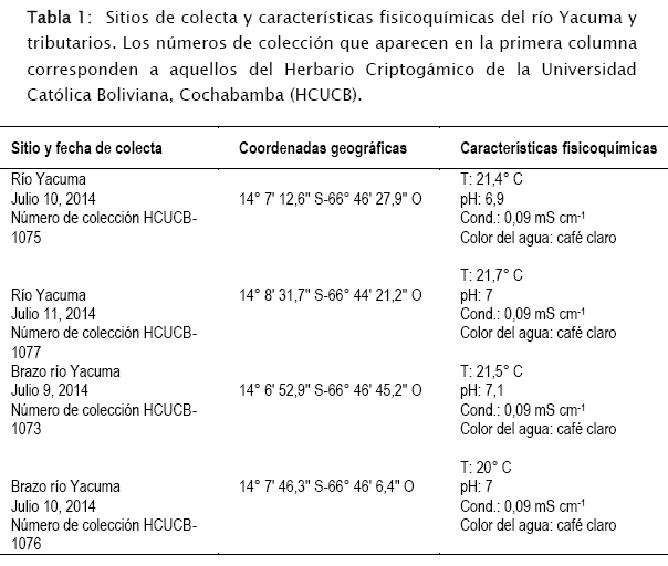 a04_tabla_01.gif
