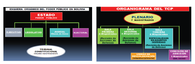 DÍA DEL TRABAJO, SENTENCIAS CONSTITUCIONALES PLURINACIONALES, TCP