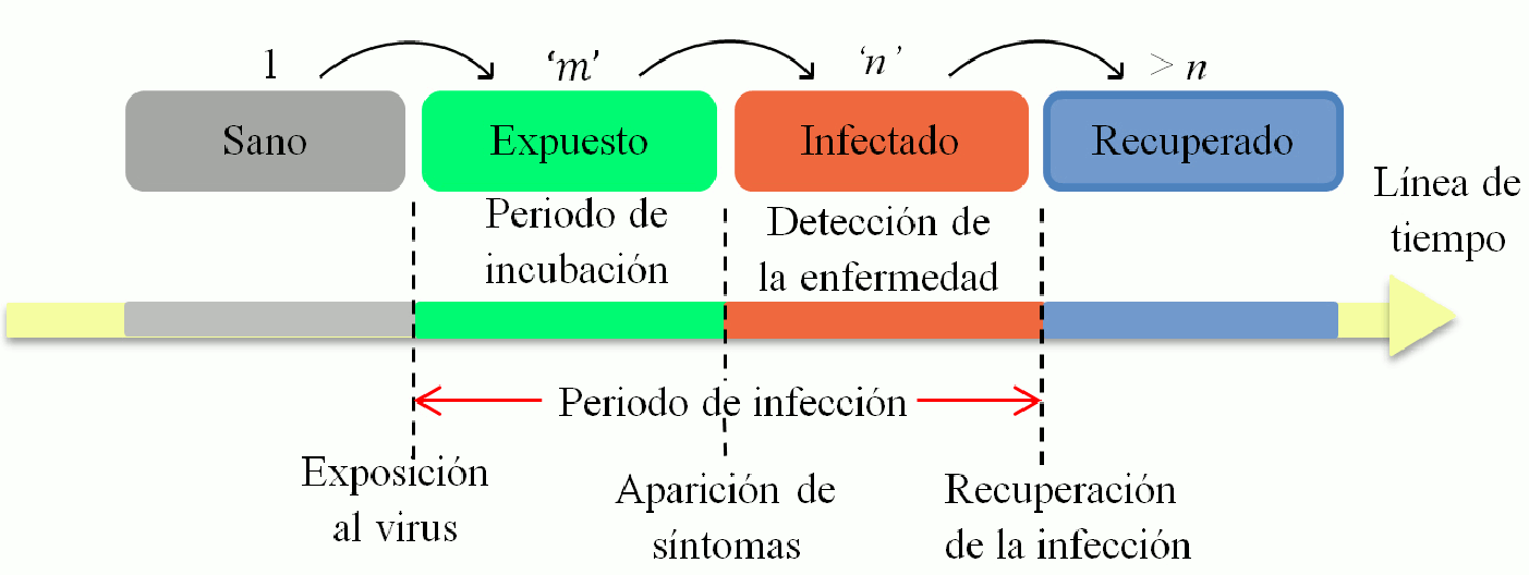 figura2a.gif