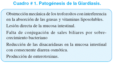 Giardia-fertőzés (giardiasis)