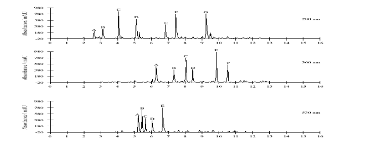 Retention time of phenolic compounds standards analysed by HPLC