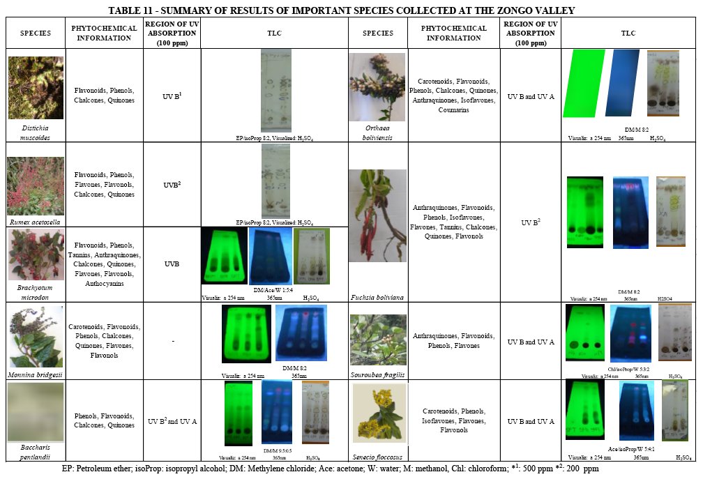 Thesis on chalcones pdf to jpg