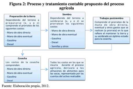 Proceso administrativo de una empresa agricola ejemplo